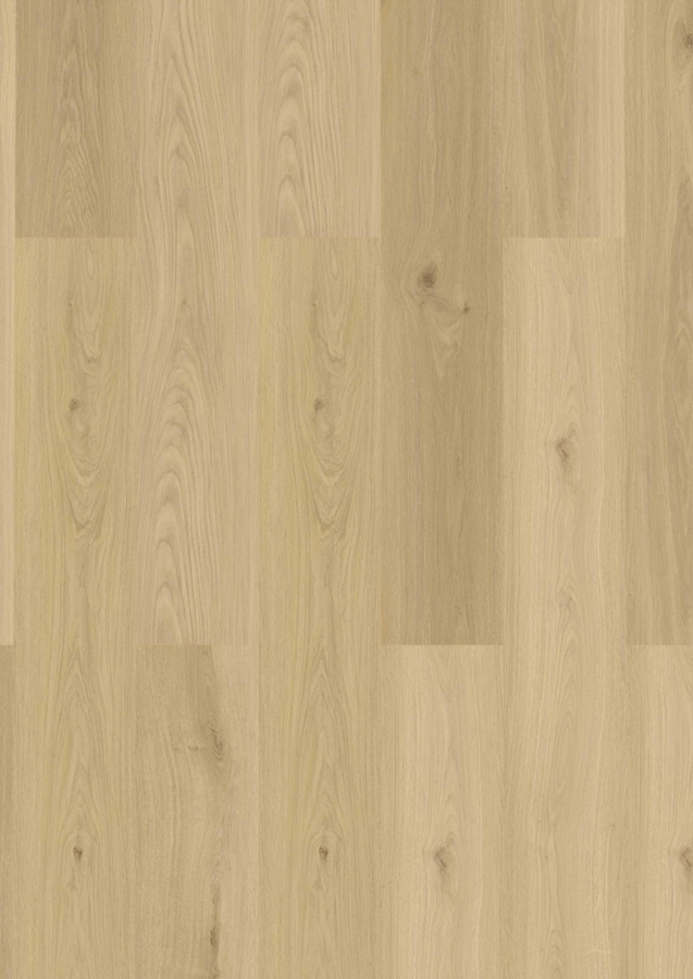 Klick-Vinyl CHECK One 2477 Baienbach Oak inkl. Trittschall Premium Breit + Langdiele