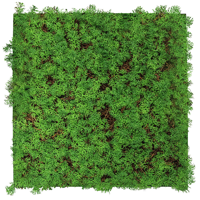 Wandpaneel Jangal Modular Wall 11105 Thuja Tea Tree 52 x 52 cm