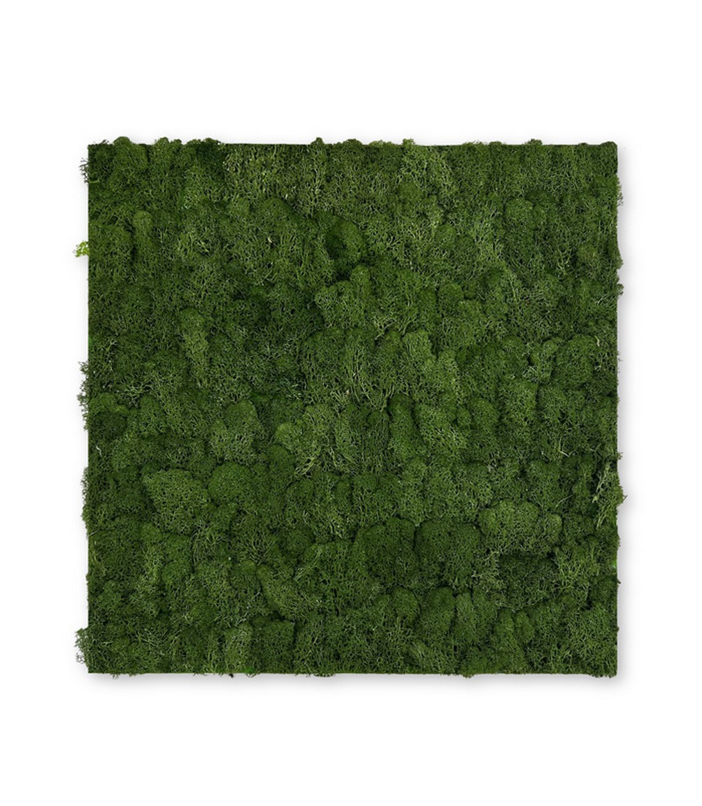 Wandpaneel Jangal Modular Wall 11103 Dark Green Moos 52 x 52 cm