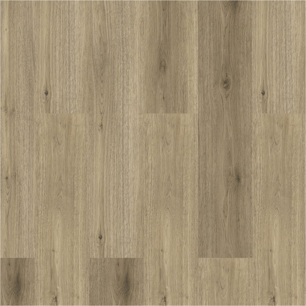 Click-Vinyl SPC 4186 Altea Eiche 5mm inkl. Trittschall