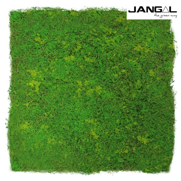 Wandpaneel Jangal Modular Wall 11110 light green fibre design moos 52 x 52 cm