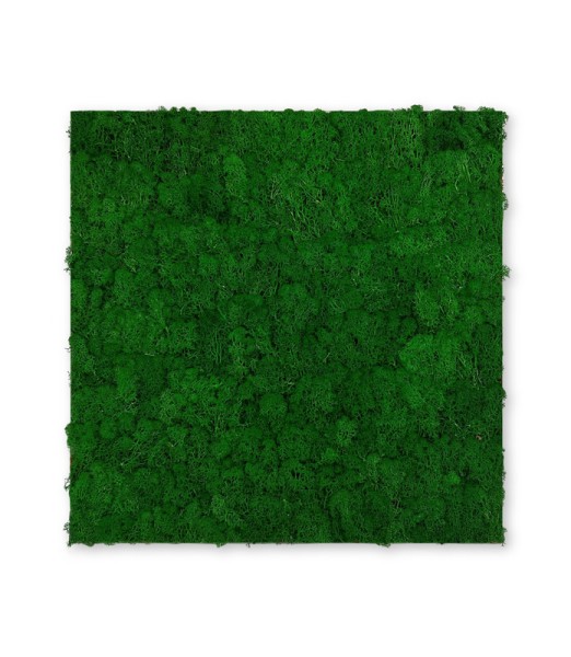 Wandpaneel Jangal Modular Wall 11100 Nature Green Moos 52 x 52 cm