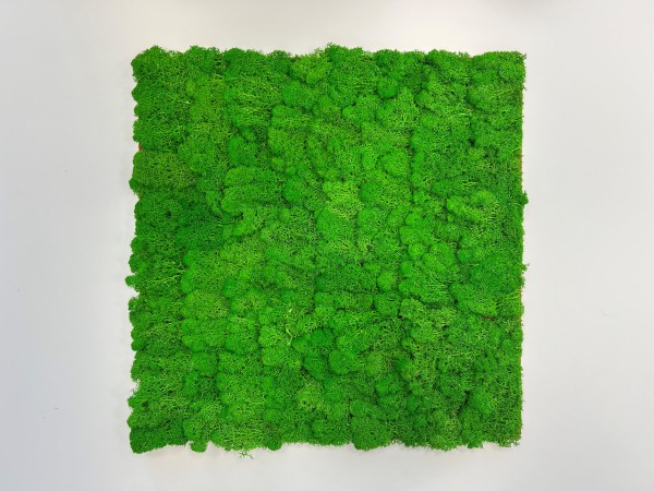 Wandpaneel Jangal Modular Wall 11101 Rich Green Moos 52 x 52 cm